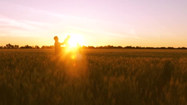 Silhueta de mãe feliz pai e bebê ao pôr do sol em um campo com trigo. Agricultor e família no campo. Uma criança com pais brinca no trigo. O conceito de relações familiares — Vídeo de Stock