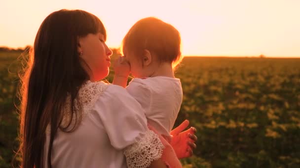 Hija pequeña se duerme en brazos de su madre en hermosos rayos de sol. familia feliz caminando al atardecer en el parque. concepto familiar feliz. Trabajo en equipo y concepto de crecimiento empresarial — Vídeo de stock