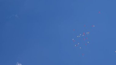 Havada uçan güzel helyum balonları. Havada uçuşan bir sürü renkli balon. tatil kavramı