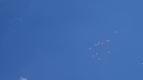 Krásné heliové balónky létají vzduchem. Ve vzduchu létá mnoho barevných balónků. dovolená koncept — Stock video