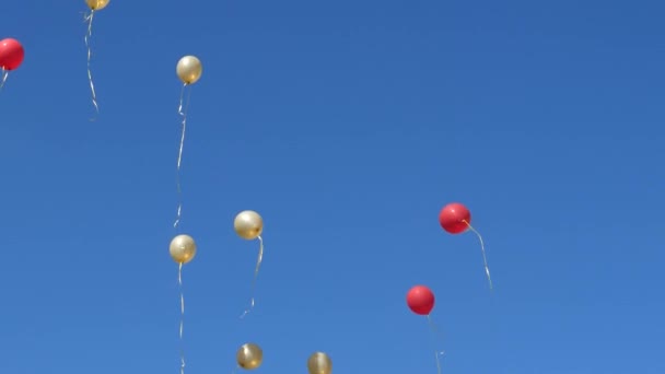 Krásné heliové balónky létají vzduchem. Ve vzduchu létá mnoho barevných balónků. dovolená koncept — Stock video