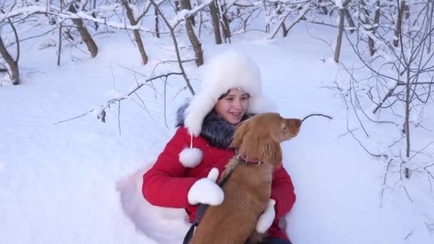 Happy child plays with dog in winter in the park for christmas vacation. girl with a hunting dog outdoors. The mistress caresses her beloved dog in the forest. — Stock Video