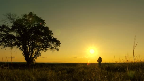 Una joven turista sana monta en bicicleta en rayos de elefante, disfrutando de la naturaleza y el aire fresco. chica libre viaja con bicicleta en la puesta del sol. Concepto de viaje. ciclista mujer supera un obstáculo — Vídeo de stock