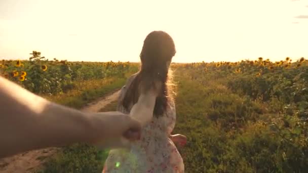 Een jong meisje reist op het platteland met haar vriend, ze lopen over het veld van bloeiende zonnebloem. meisje en jongen rkuka in de hand, in de avond lopen langs het veld met zonnebloemen bij zonsondergang, hand in hand. — Stockvideo