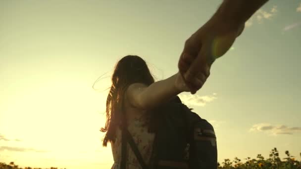 Fata și tipul Rkuka în mână, în plimbare de seară de-a lungul câmpului cu floarea-soarelui la apusul soarelui, ținându-se de mână. O tânără călătorește la țară cu iubitul ei, aleargă pe câmpul floării-soarelui înfloritoare. . — Videoclip de stoc