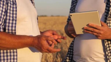 Buğday tarlasında tabletli bir çiftçi ve işadamı. Agronomist ve çiftçi PDA 'yı ellerinde tutuyorlar. Mısır gevreği topluyorum. Bir iş adamı tahılın kalitesini kontrol eder. iş ekibi çalışması