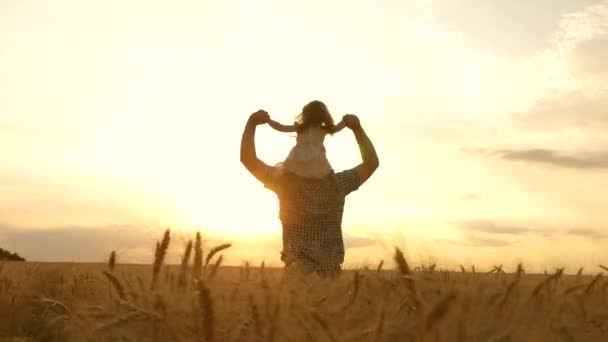 Apa farmer a vállán cipel egy kislányt a búzamezőn. gyermek és apa játszanak területén érlelés búza. A fiúk átutaznak a mezőn. gyermek és szülő játék a természetben. boldog család. — Stock videók