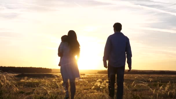 Gratis familie vader en dochter loopt in een veld bij zonsondergang hand in hand. gezonde gelukkige baby slapen in de armen van moeder. Het begrip gezin en kinderen. — Stockvideo