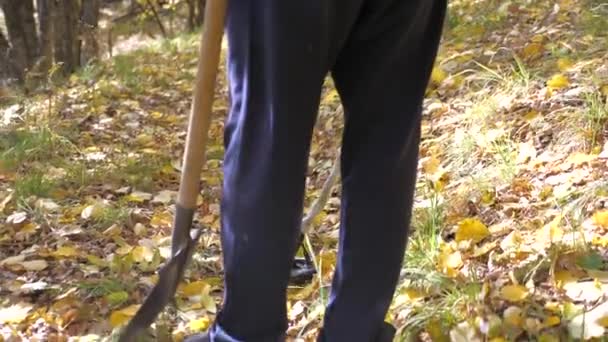 Viaggiatore avventuriero va con una pala in cerca di tesori. Un uomo con un metal detector sta cercando un tesoro. metal detector alla ricerca di metalli sul campo. sminamento. — Video Stock