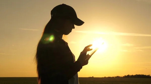 Silhouette d'agronome femelle avec comprimé étudiant les cultures de blé au champ. jeune agricultrice travaille avec une tablette sur un champ de blé au soleil. femme d'affaires planifie son revenu dans le domaine. moisson des grains . — Photo