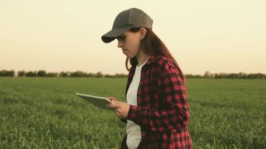 Tabletli kadın tarım uzmanları tarladaki buğday mahsullerini inceliyor. Kadın çiftçi, güneşteki bir buğday tarlasında tabletle çalışıyor. İş kadını kazancını sahada planlıyor. tahıl hasat.