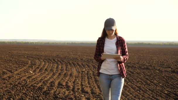 A mulher de negócios verifica a caixa. Mulher agricultora com tablet no campo. Um agrônomo feminino verifica a qualidade do grão de semeadura. Um agricultor verifica a qualidade do solo antes da sementeira. — Vídeo de Stock