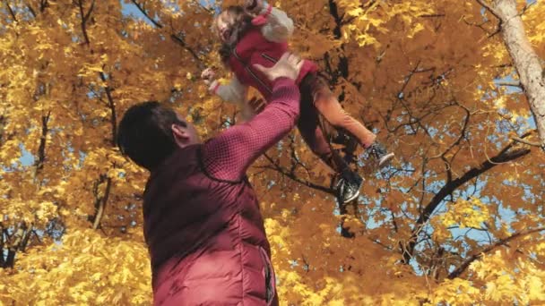 Père et petit enfant jouent, rient et s'embrassent. Papa vomit une fille heureuse dans le ciel à l'automne dans le parc. famille heureuse voyage. enfant en bonne santé dans les bras du parent. concept de famille heureuse et d'enfance — Video