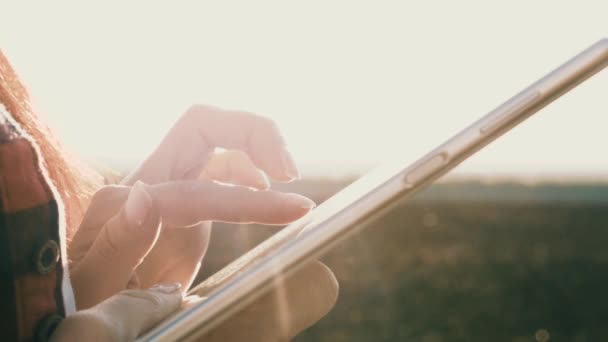 Silhouette einer Bäuerin mit Tablette beim Studium der Weizenernte auf dem Feld. Nahaufnahme. Agronomin arbeitet mit Tablette auf Weizenfeld in der Sonne. Geschäftsfrau plant ihr Einkommen im Außendienst. Getreideernte. — Stockvideo