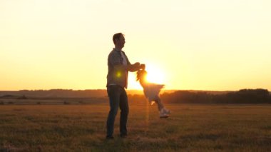Çocuk gün batımında babasıyla sahada sinek oyunu oynuyor. Baba, sevgili kızının kollarında uçarken gülümseyen sağlıklı bir çocuk. Baba ve bebek yaz parkında. Sağlıklı aile ve çocukluk kavramı