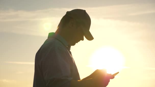 Farmer trabaja con la tableta en un campo de trigo en el sol. silueta de un agrónomo con tableta que estudia la cosecha de trigo en el campo. hombre de negocios planea sus ingresos en el campo. cosecha de grano. — Vídeos de Stock