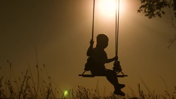 Bambino e mamma oscillano su un'altalena nel parco al sole. Silhouette di piccolo bambino sano su oscillazione. La figlia e la madre amano volare su oscillazione durante sera estiva in foresta. Concetto di famiglia felice e infanzia — Video Stock