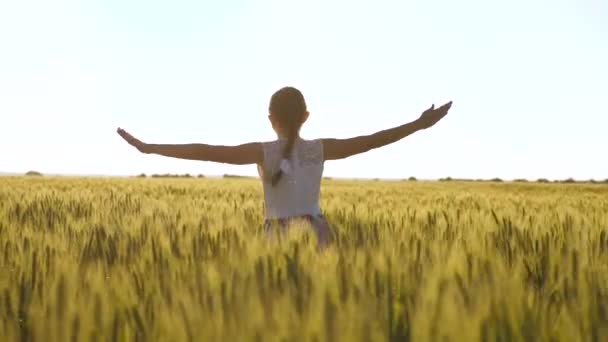 Infância feliz e conceito de família. criança saudável corre e gira em câmera lenta através do campo, tocando espigas de trigo com a mão. menina despreocupada feliz desfrutando da natureza e da luz do sol em um campo de trigo . — Vídeo de Stock