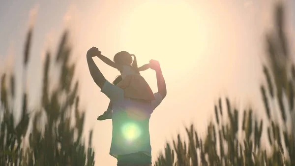 Figlioletta sulle spalle dei padri. bambino e papà viaggiano su un campo di grano. Il bambino e il genitore giocano in natura. famiglia felice e concetto di infanzia. Rallentatore — Foto Stock