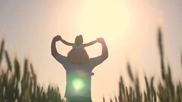 Figlioletta sulle spalle dei padri. bambino e papà viaggiano su un campo di grano. Il bambino e il genitore giocano in natura. famiglia felice e concetto di infanzia. Rallentatore — Foto Stock