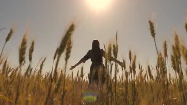 Menina feliz andando em câmera lenta através de um campo tocando com as orelhas de trigo mão. Mulher despreocupada bonita desfrutando da natureza e da luz solar no campo de trigo no incrível pôr do sol colorido. — Vídeo de Stock