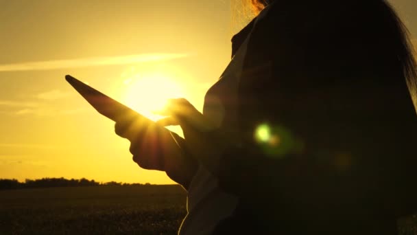 Silhuett av en kvinnlig bonde med tablett studerar vete gröda i fält. närbild. Agronomist flicka arbetar med tablett på ett vetefält i solen. Affärskvinna planerar sin inkomst ute på fältet. spannmålsskörd. — Stockvideo