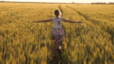Sağlıklı çocuk koşar ve tarlada ağır çekimde döner, elleriyle buğday başaklarına dokunur. Mutlu kaygısız kız buğday tarlasında doğanın ve güneş ışığının tadını çıkarıyor. Mutlu çocukluk ve aile kavramı