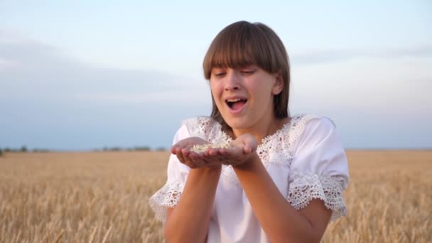 小麦の粒を手のひらに吹く少女。畑の農家の娘さんの手に小麦。接近中だ。穀物品質評価。農業の概念。有機穀物の収穫. — ストック動画