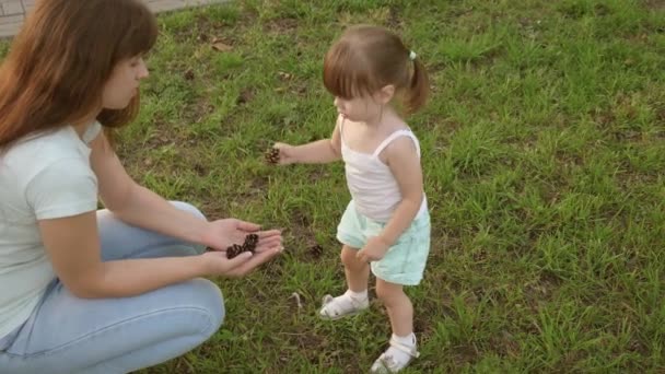 Sağlıklı bebek ve anne parkta oynar ve külahları toplar. Anne kızına çam kozalaklarını gösteriyor. Mutlu çocukluk kavramı. Mutlu aile bahçede bir çocukla yürüyor.. — Stok video