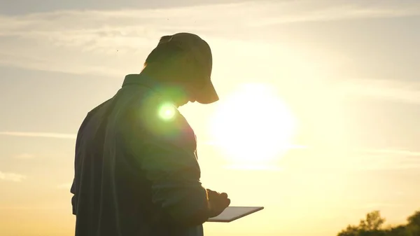 Uomo d'affari che lavora con un tablet all'aperto. Agricoltore lavora con una tavoletta su un campo di grano al sole. sagoma di un agronomo con tavoletta che studia un raccolto di grano in un campo. — Foto Stock