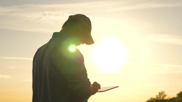 Zakenman die buiten met een tablet werkt. Boer werkt met een tablet op een tarweveld in de zon. silhouet van een landbouwkundige met tablet die een tarwegewas bestudeert in een veld. — Stockvideo