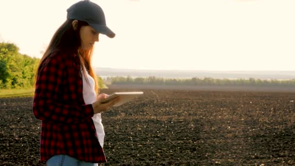 Agronomka sprawdza jakość wysiewu ziarna. Kobieta rolnik z tabliczką w polu trzyma ziemię w rękach. Rolnik sprawdza jakość gleby przed siewem. biznes kobieta sprawdza jej pole — Wideo stockowe