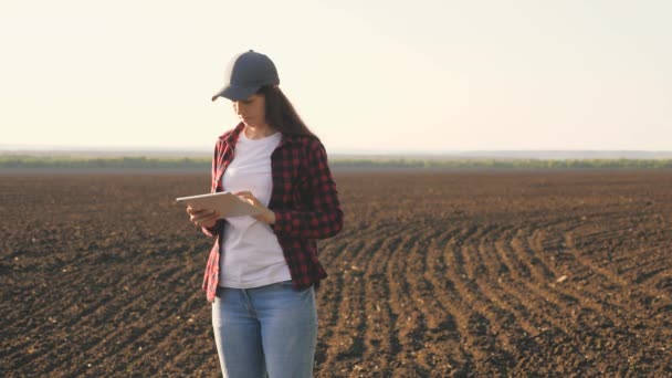 A mulher de negócios verifica a caixa. Mulher agricultora com tablet no campo. Um agrônomo feminino verifica a qualidade do grão de semeadura. Um agricultor verifica a qualidade do solo antes da sementeira. — Vídeo de Stock