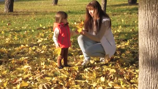 Een jonge moeder speelt met haar dochters verzamelt gevallen bladeren in een herfstpark. familie zit op gele bladeren in de tuin. Moederschap kindertijd concept. gelukkig kind speelt met mam en zus. — Stockvideo
