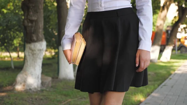 Una estudiante camina por la calle con libros de texto en sus manos en el parque de verano. colegiala en la ciudad. chica adolescente se apresura a la escuela con libros. —  Fotos de Stock