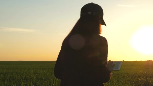 Hombre de negocios que trabaja con una tableta al aire libre. Farmer trabaja con una tableta en un campo de trigo al sol. silueta de un agrónomo con tableta que estudia una cosecha de trigo en un campo. — Vídeo de stock