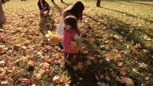 행복 한 아이는 타락 한 여우와 놀다가 즐겁게 뛰놀게 된다. 어린 어머니는 딸들과 놀고, 가을 공원에서 낙엽을 모읍니다. 가족은 정원에 있는 노란 나뭇잎 위에 앉는다. 어린 시절의 개념. — 비디오