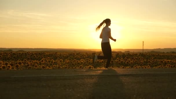 Saludable hermosa chica se dedica a la aptitud física, trotar en el país. entrenando trotar. Mujer joven libre corre en verano en el parque al amanecer escucha música con auriculares. Chica corredora respira aire fresco — Vídeos de Stock