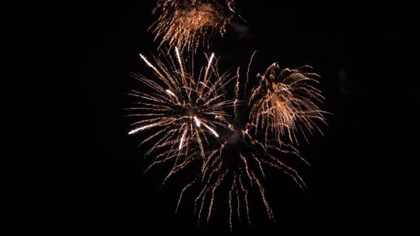 Schijnend vuurwerk met bokeh lichten aan de nachtelijke hemel. gloeiende vuurwerk show. Oudejaarsavond vuurwerk vieren. veelkleurig vuurwerk in de nachtelijke hemel. mooie gekleurde nacht explosies in het zwart — Stockvideo