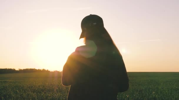 Donna d'affari pianifica il suo reddito sul campo. raccolto del grano. silhouette di una contadina con tavoletta che studia il raccolto di grano in campo. agronomo ragazza lavora con tablet sul campo di grano al sole. — Video Stock