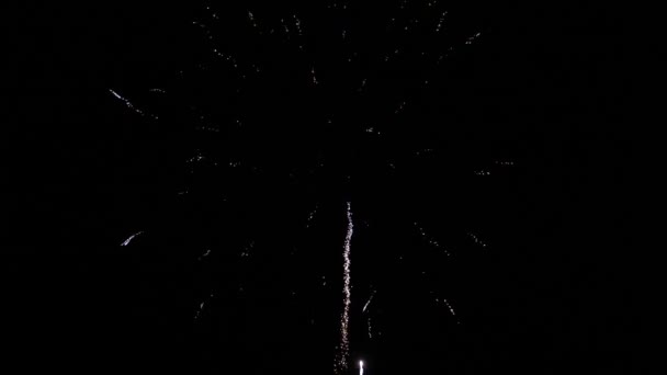 夜空中美丽的多彩的烟火。新年前夕烟火庆祝活动。在夜空中闪烁着烟火，点着亮光。灿烂的烟花表演。漆黑天空中的五彩斑斓的夜晚 — 图库视频影像
