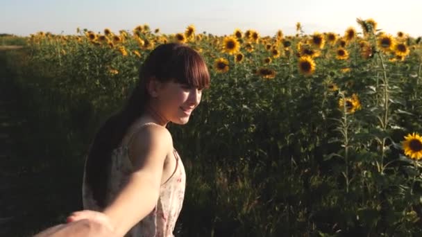 Een jong meisje reist op het platteland met haar vriend, ze lopen over het veld van bloeiende zonnebloem. meisje en jongen rkuka in de hand, in de avond lopen langs het veld met zonnebloemen bij zonsondergang, hand in hand. — Stockvideo