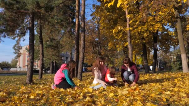 Glad familj leker i höstparken, bebisen bär gula löv till pappa. Pappa, mamma och döttrar kastar gula blad. barn och föräldrar ha kul utomhus. hälsosam lycklig familj koncept — Stockvideo