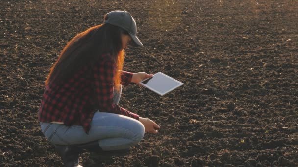 Un agricoltore controlla la qualità del terreno prima della semina. donna contadina con una tavoletta in campo tiene la terra nelle sue mani. agronomo ragazza controlla la qualità della semina del grano. donna d'affari controlla il suo campo — Video Stock