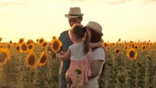 小女儿妈妈和爸爸的农民走在向日葵地里，向孩子展示美丽的花朵。一个充满爱心的家庭漫步在一个盛开的向日葵种植园，一个生态旅游的乡村. — 图库视频影像
