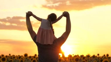 Çiftçilerin omuzlarında küçük bir kız çocuğu. Babası gün batımının ışları altında ayçiçeği tarlasında yürüyor. Sevgi dolu aile gezileri çiçek tarlaları, ekolojik turizm...