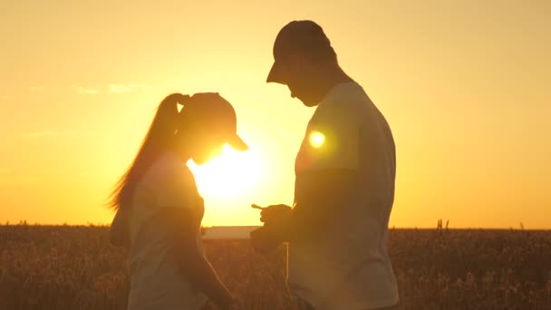 L'agricoltore uomo e donna lavorano con una tavoletta nel campo di grano al sole. silhouette di agronomo e uomo d'affari con tavoletta che esamina la raccolta del grano in campo. uomini d'affari che si stringono la mano. raccolto di cereali — Video Stock