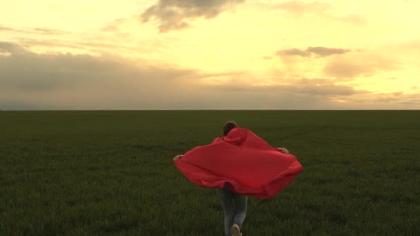 Menina super-herói feliz, corre no campo verde em manto vermelho, tremulação de manto no vento. criança brinca e sonha. Movimento lento. O adolescente sonha em se tornar um super-herói. jovem menina em manto vermelho, expressão dos sonhos. — Vídeo de Stock