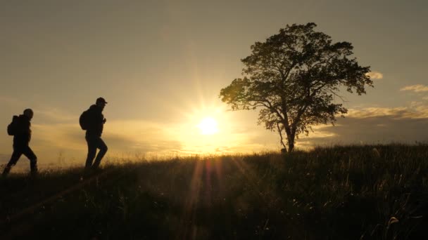 Três viajantes caminham ao longo do topo da colina passando por uma árvore solitária ao sol. trabalho em equipe de turistas com mochilas seguindo rota. conceito de caminhadas e aventura ao ar livre, no parque, campo e montanhas. — Vídeo de Stock