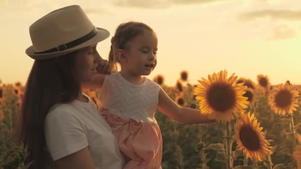 一位农夫的母亲抱着一个小女孩，她正沿着向日葵地走在美丽的夕阳西下。一个充满爱心的家庭穿过一个盛开的葵花园。生态旅游业 — 图库视频影像